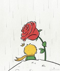 a drawing of a boy looking at a red rose on a white surface with water droplets