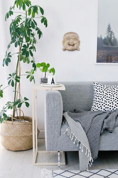 a living room with a couch, chair and potted plant on the side table