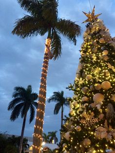 a tall christmas tree with lights and decorations on it's side in front of palm trees