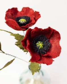 two red flowers in a vase with green leaves