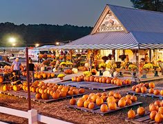 many pumpkins are on display in front of a produce market at night with people shopping