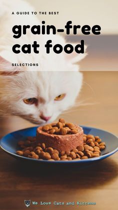 A Guide to the Best Grain-Free Cat Food Selections Food For Kidney Health, Diy Cat Food, Grain Free Diet, Healthy Grains