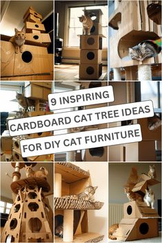 there are many different pictures of cats in the house and on the cat tree that is made out of cardboard