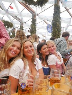 Day Trips From Vienna, German Beer Festival