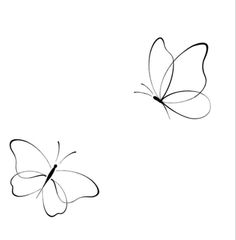 two butterflies flying side by side on a white background, one is black and the other is