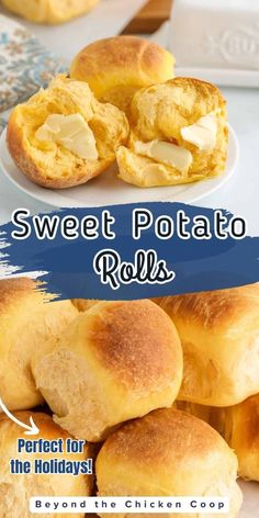 sweet potato rolls are perfect for the holidays and they're ready to be eaten