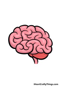 a drawing of a pink brain on a white background