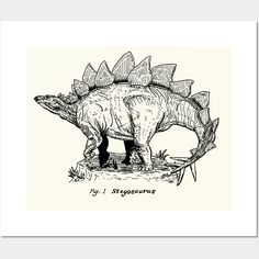 a black and white drawing of a trilops dinosaur with the words by 1 stroganone on it's back