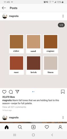 the color palettes in this photo are brown and tan