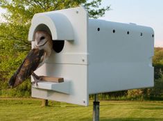 an owl sitting on top of a white mailbox