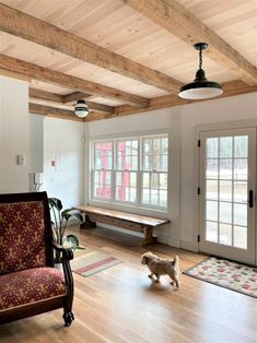 a dog is walking in the middle of a living room with wood floors and white walls