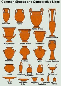 the different types of vases and their names are shown in this diagram, which shows them