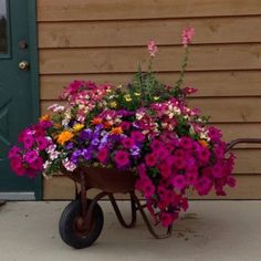 a wheelbarrow filled with lots of colorful flowers