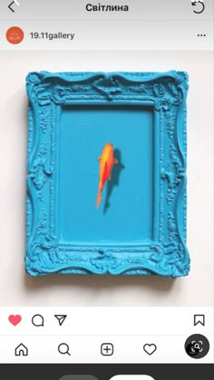 an orange fish is in a blue frame