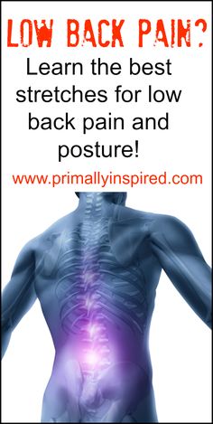 Best Stretches for Low Back Pain and Posture with picture descriptions | PrimallyInspired.com Low Back Stretches, Back Pain Remedies, Neck And Back Pain, Best Stretches, Back Pain Relief, Back Exercises