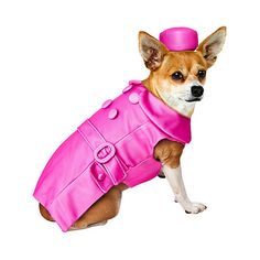 a small dog wearing a pink coat and hat