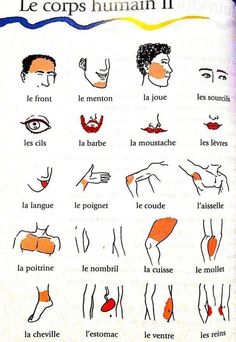 an instruction manual for how to use the human body in french, with pictures on it