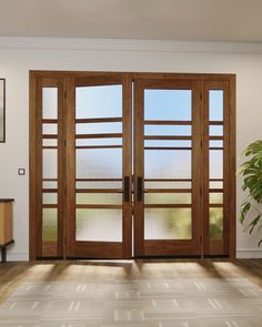 an empty room with two wooden doors and a potted plant on the far side