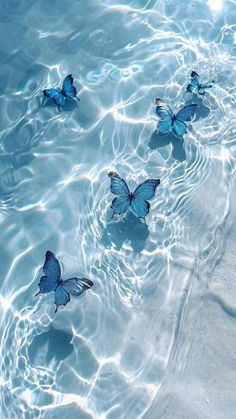 three blue butterflies floating in the water