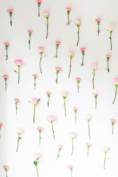 pink and white flowers are arranged on a wall