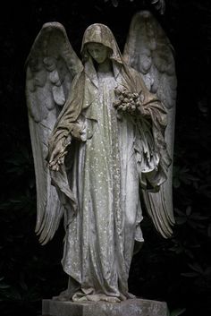 an angel statue with white wings and flowers in his hands, surrounded by greenery