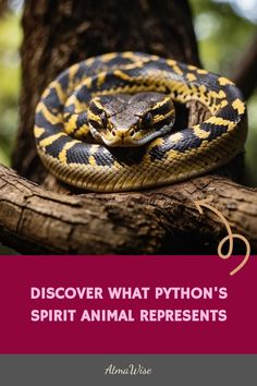 Python resting on a tree branch, promoting the discovery of its spirit animal symbolism. Your Spirit Animal, Inner Wisdom, A Snake, Self Discovery, Spirit Animal, Python, Discover Yourself, Tap, Spirituality