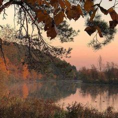 a body of water surrounded by lots of trees and leaves in the foreground with a pink sky behind it