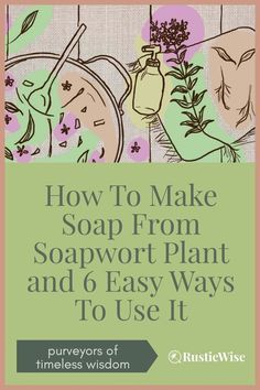 the cover of how to make soap from soapworth plant and 6 easy ways to use it