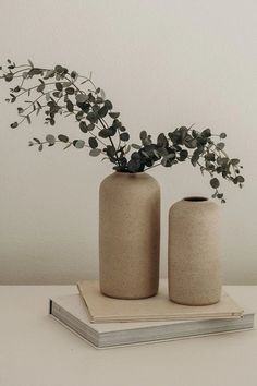 two vases with plants in them sitting on a book