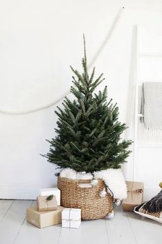 a small christmas tree in a wicker basket next to other presents on the floor