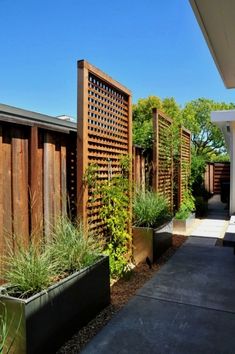 an outdoor garden area with wooden fence and plants in large planters on the side