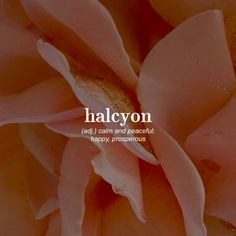 a pink flower with the words halcyon written in white on it's center