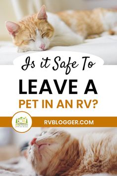 an orange and white cat sleeping on top of a bed with the words as it safe to leave a pet in an rv?