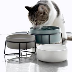 a gray and white cat eating out of a bowl on top of a metal stand