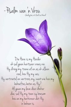 a purple flower sitting on top of a wooden table next to a poem written in german