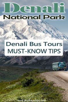 the denali bus tours must - know tips