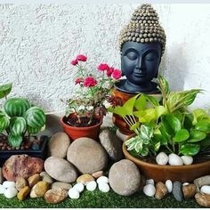 there is a buddha statue surrounded by plants and rocks