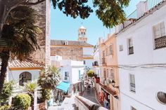 a narrow street with white buildings and palm trees in the foreground on a sunny day