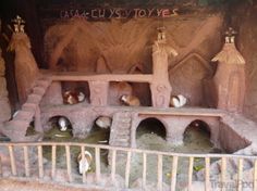 guinea pigs in their habitat at the base of a rock structure with writing on it