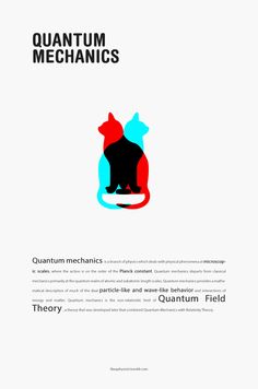 an image of the cover of a book with cats on it and text that reads,'quantum mechanics '