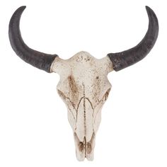 an animal skull with long horns on a white background