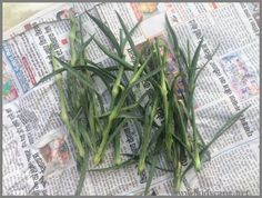 some green beans are sitting on top of the newspaper and ready to be picked up