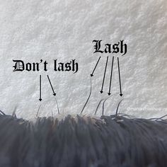 Lash Living Room, Eyelash Marketing Ideas, Lashing Tips, Lash School, Lash Tech Notes, Lash Extension Aesthetic, Lash Tips, Content Ideas For Lash Techs