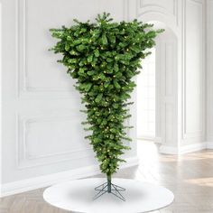 a tall green tree with lights on it's branches in the corner of a room