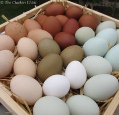 a crate filled with eggs sitting on top of a table