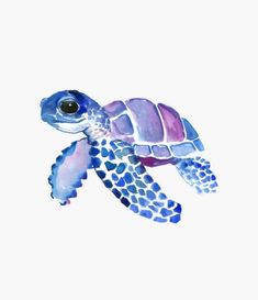 a watercolor painting of a sea turtle on a white background with blue and pink colors