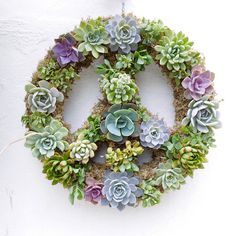 a peace sign made out of succulents hangs on the side of a wall