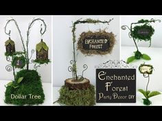 three different pictures of moss covered trees and signs with words attached to the tree stumps