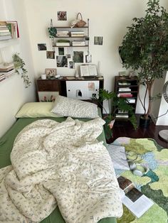 an unmade bed in a small room with plants and books on the shelves above it