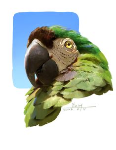 a drawing of a green and yellow parrot